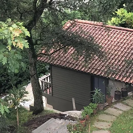Casa Do Bosque * Minhotaes